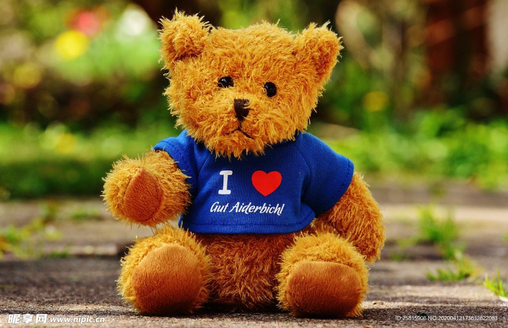 玩具熊毛绒玩具图片