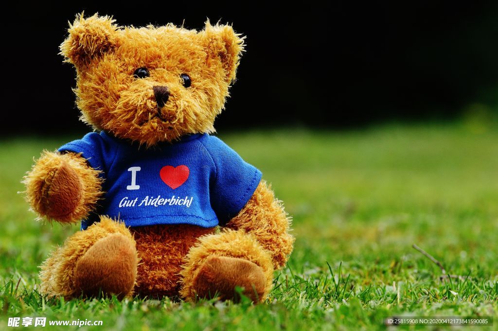 玩具熊毛绒玩具图片