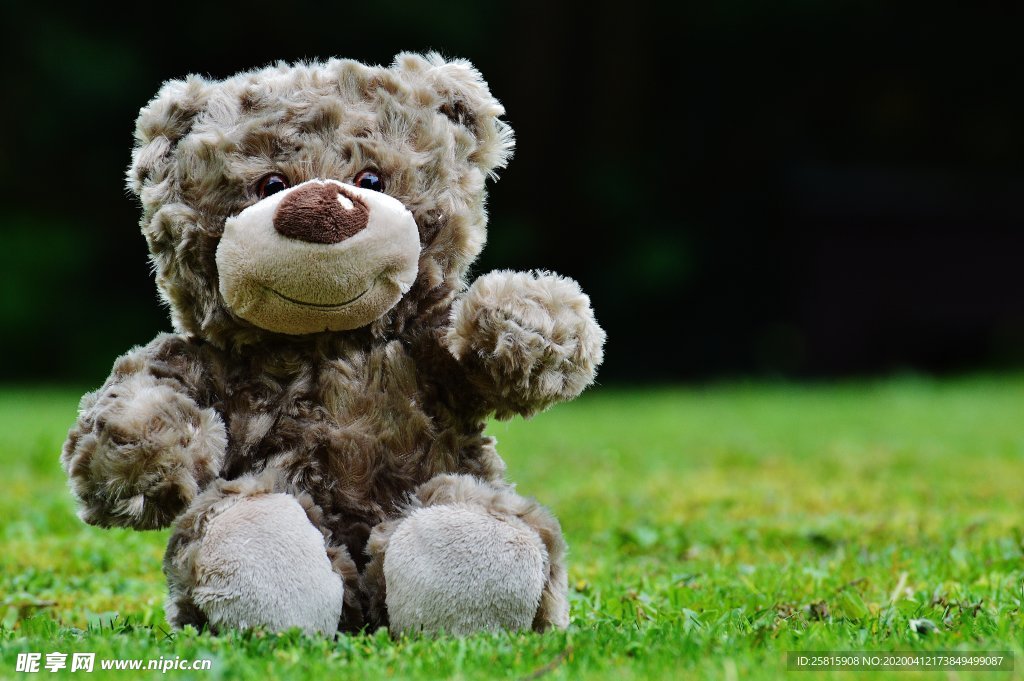 玩具熊毛绒玩具图片