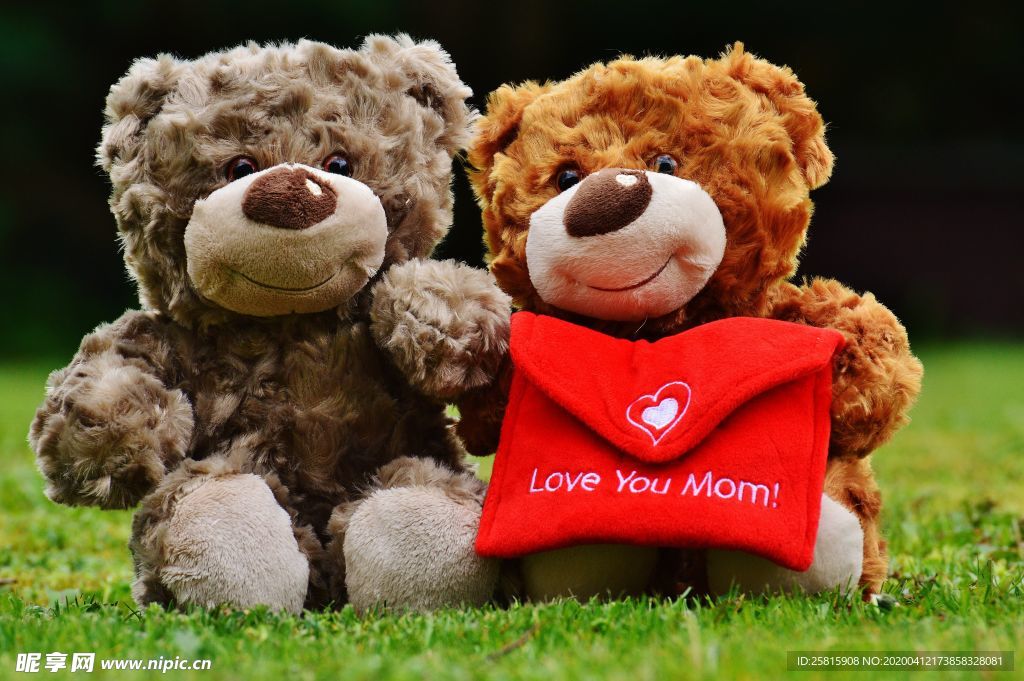 玩具熊毛绒玩具图片