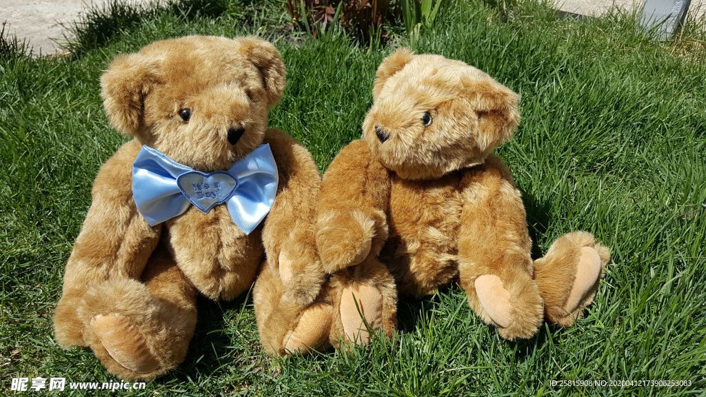 玩具熊毛绒玩具图片