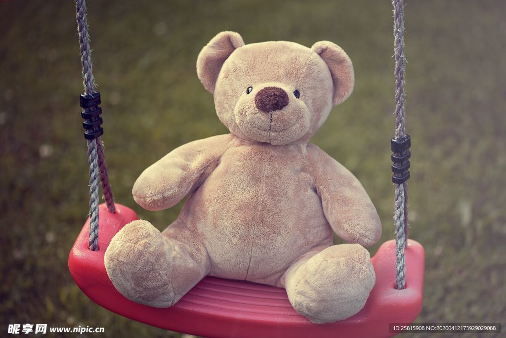 玩具熊毛绒玩具图片