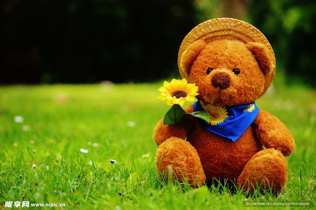 玩具熊毛绒玩具图片