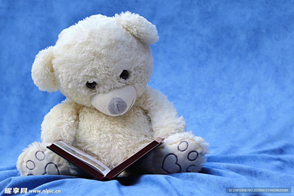 玩具熊毛绒玩具图片