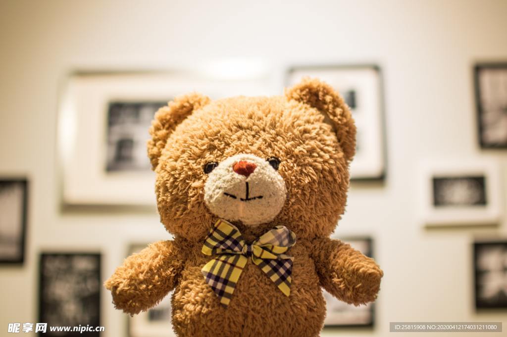 玩具熊毛绒玩具图片