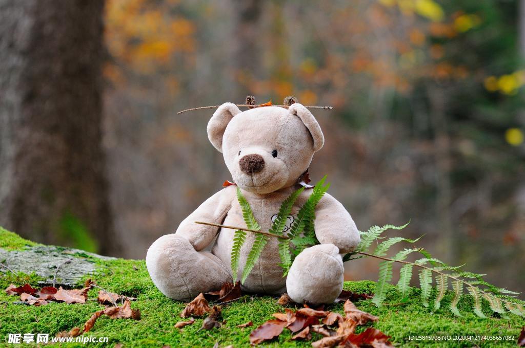 玩具熊毛绒玩具图片