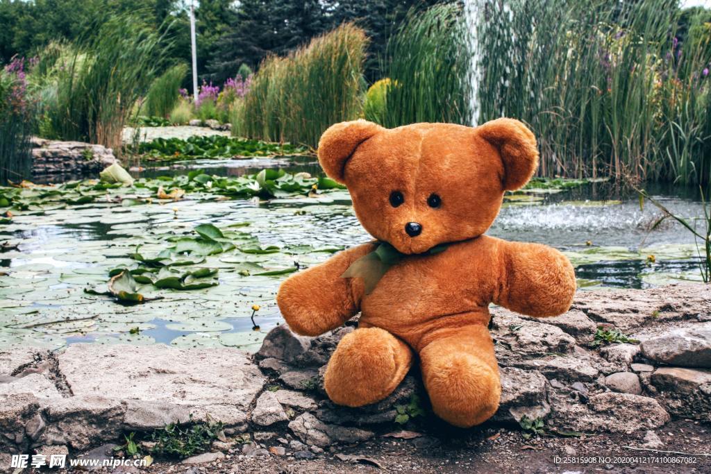 玩具熊毛绒玩具图片