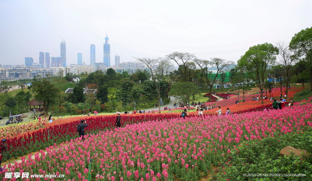 南宁青秀山兰园