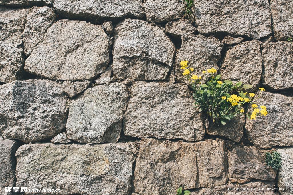 砖墙 石墙 纹理 材质