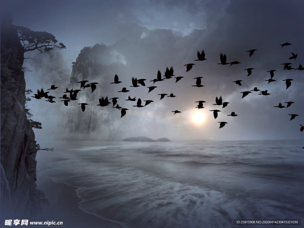 大雁空山鸟语图片