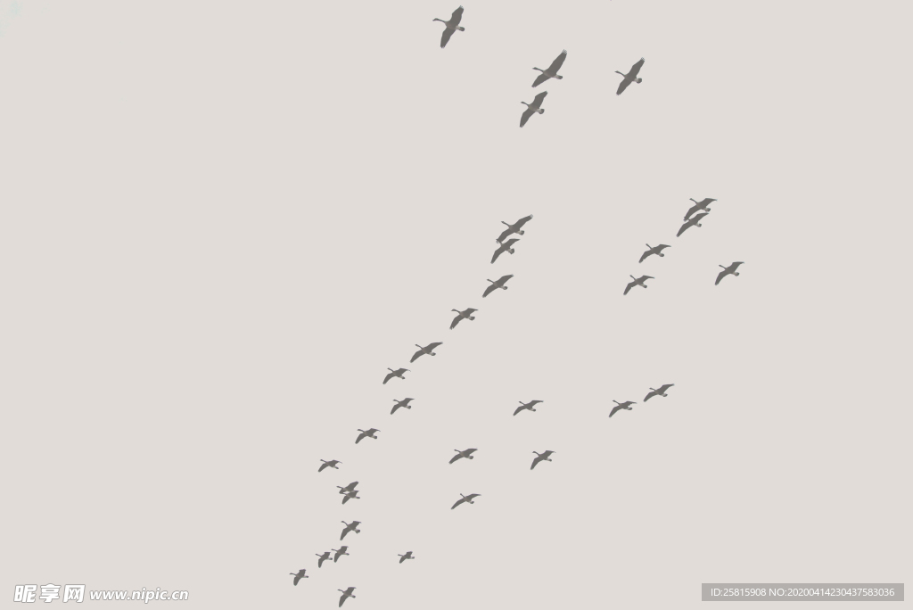 大雁空山鸟语图片