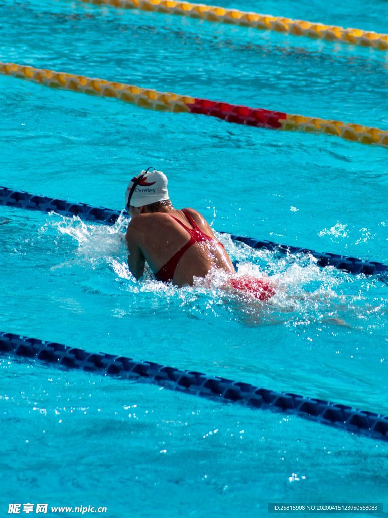 游泳运动图片