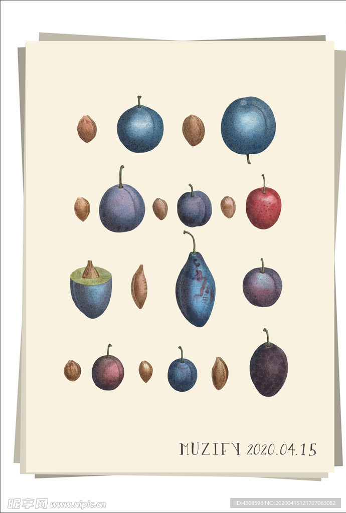 11款 梅子 水果图鉴