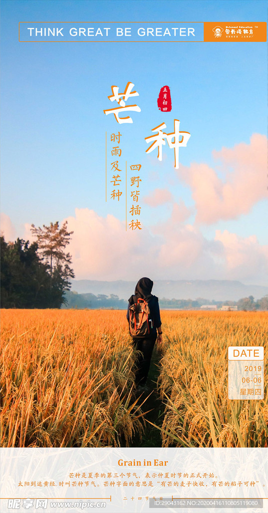 芒种节气海报