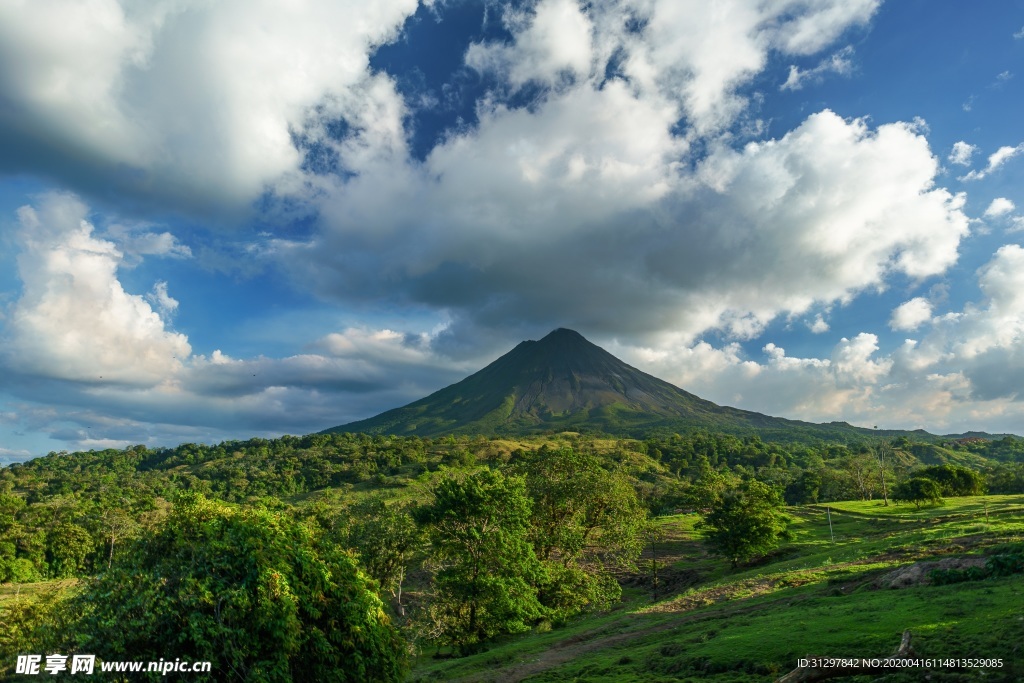 蓝天白云下的绿色