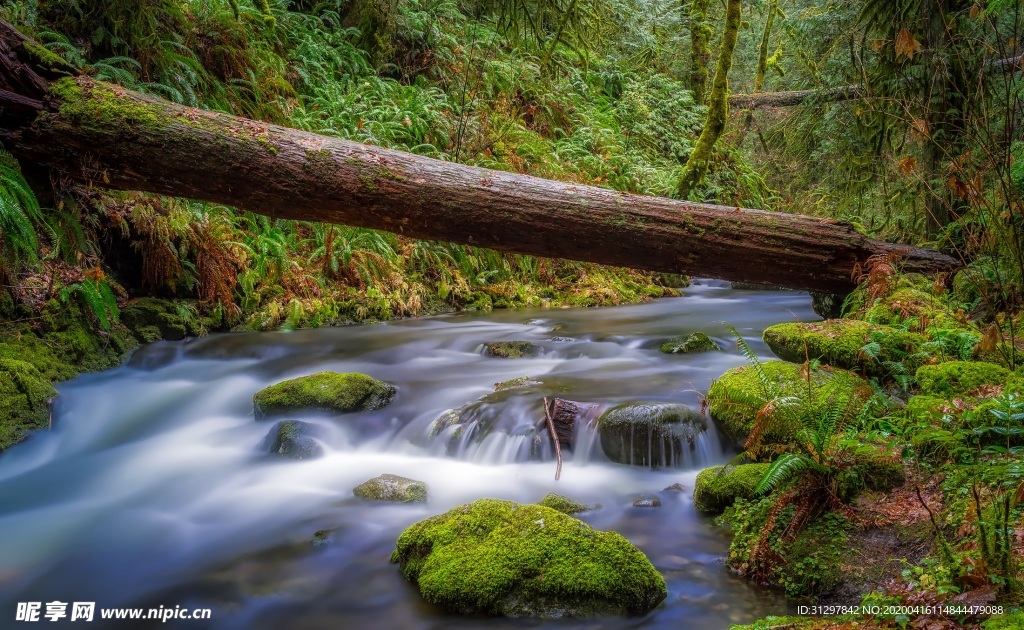 独木桥下的溪流