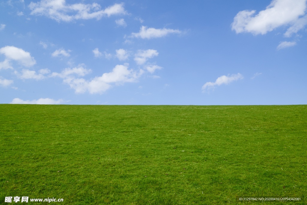蓝天白云草地