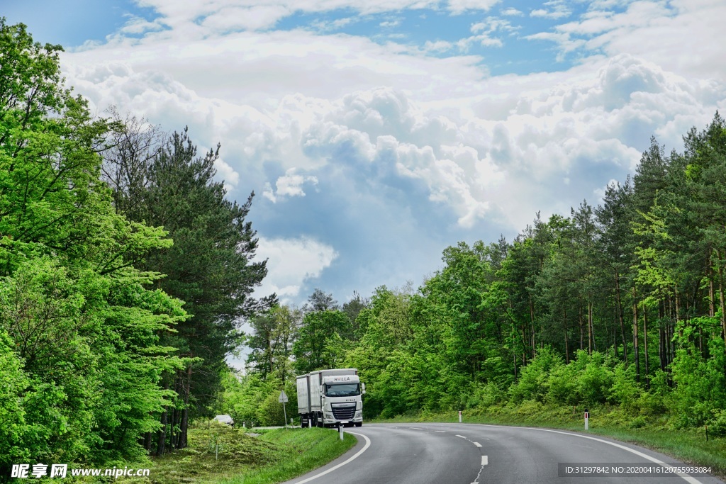树林中间的道路