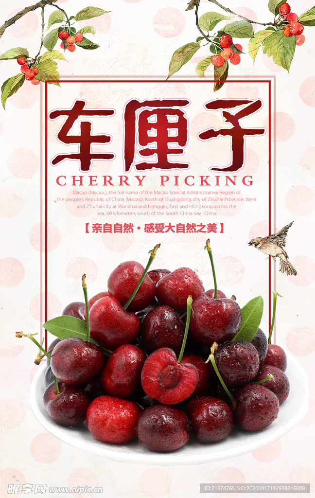 车厘子美食宣传海报