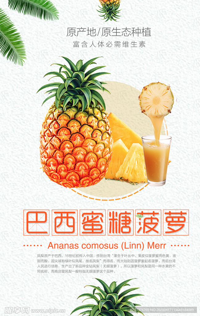 巴西蜜糖菠萝宣传海报