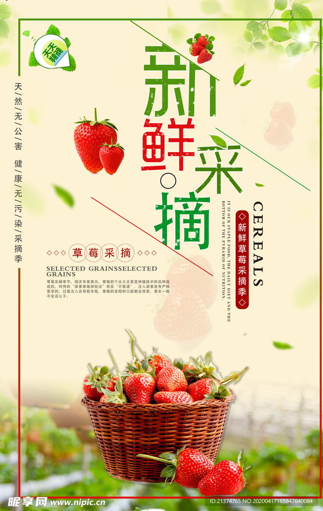 新鲜草莓采摘海报