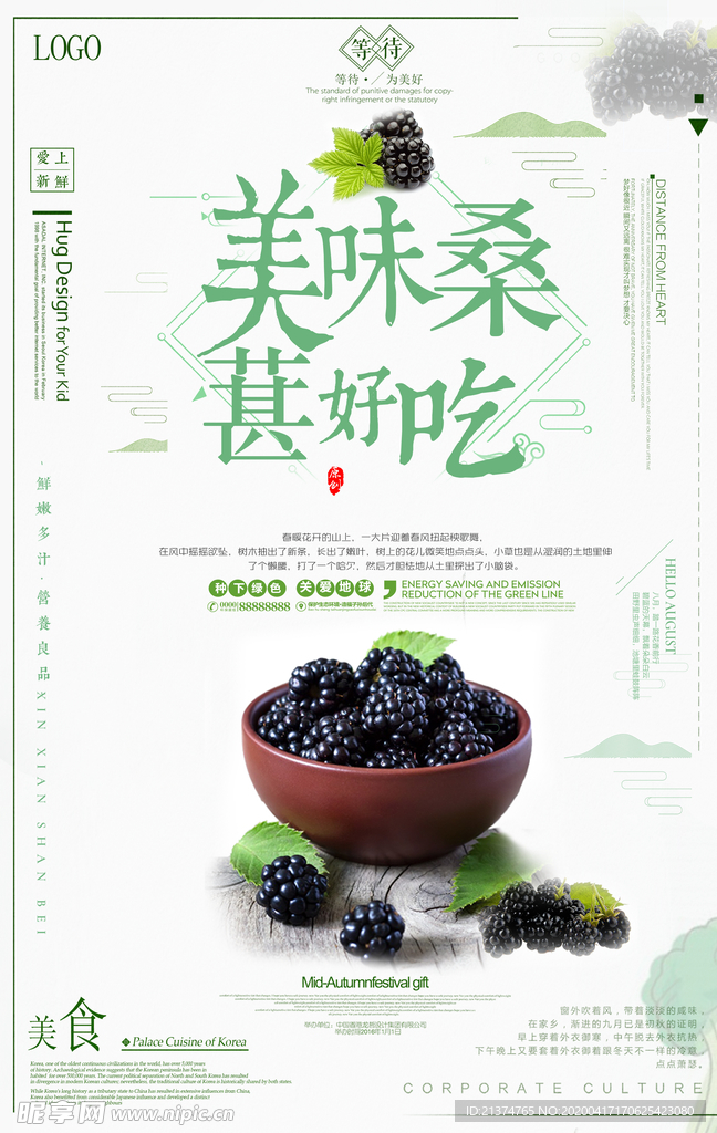 简约时尚桑葚海报