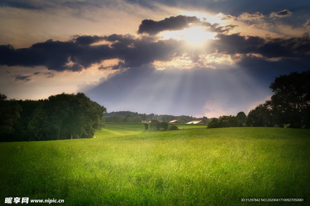 阳光照射的草地