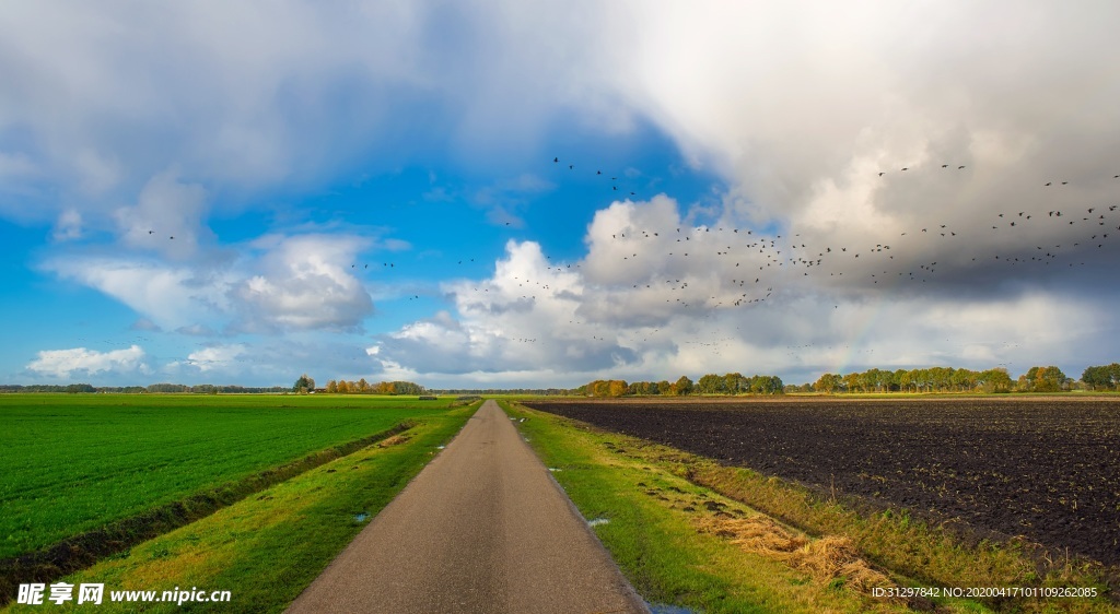 蓝天白云下的道路