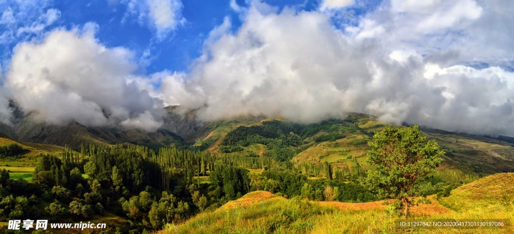 蓝天白云下的野外