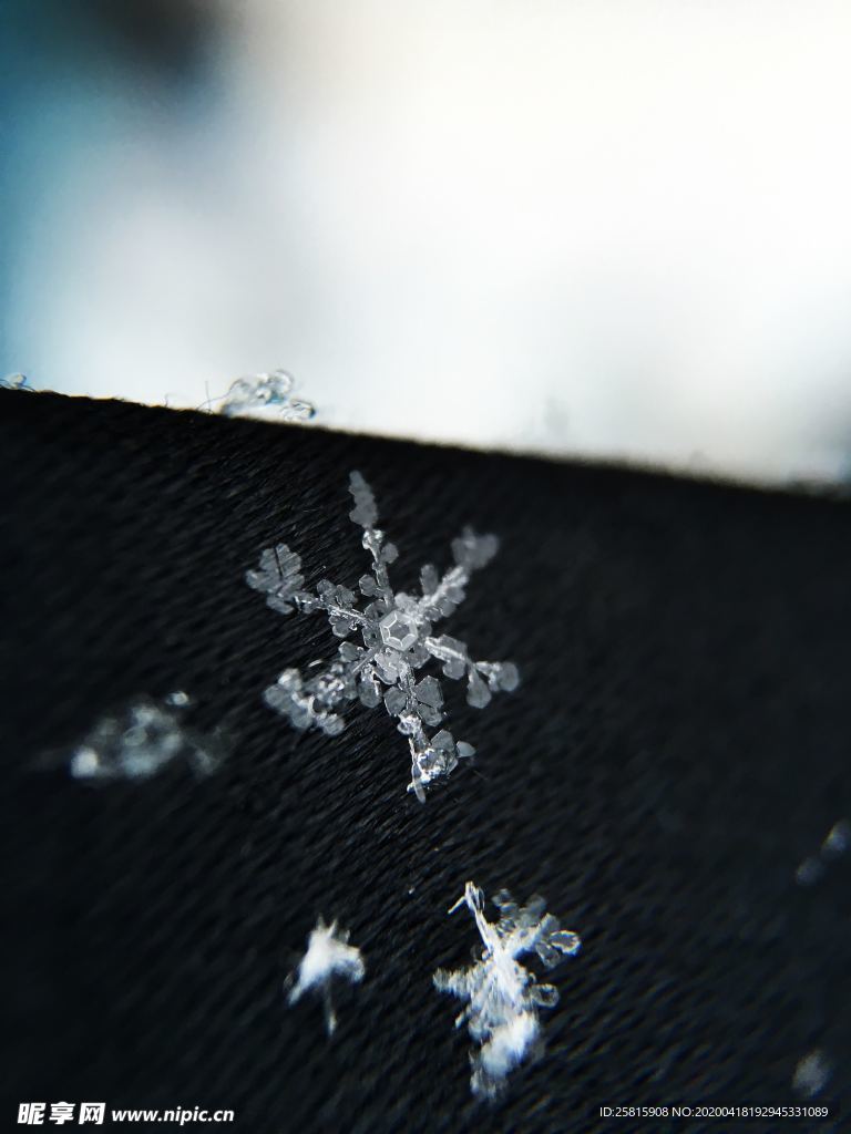 雪花冰花冰霜窗花图片