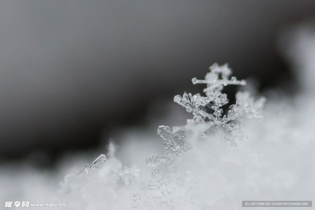 雪花冰花冰霜窗花图片