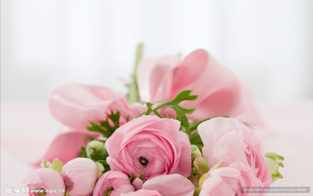 玫瑰花爱意图片