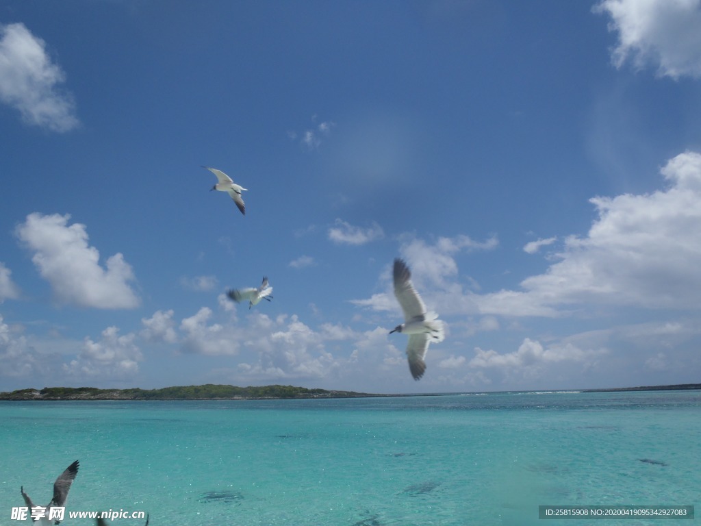沙滩海岸岛屿图片