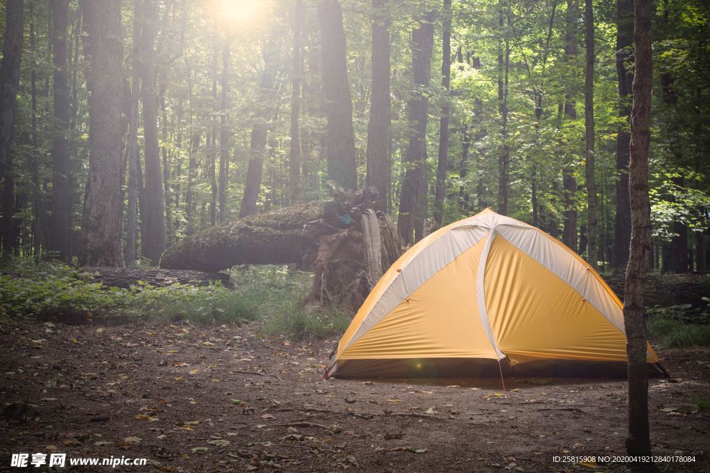帐篷户外住宿图片