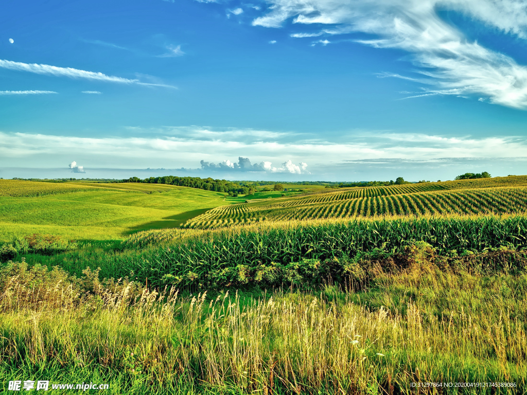 农田 农地 田地