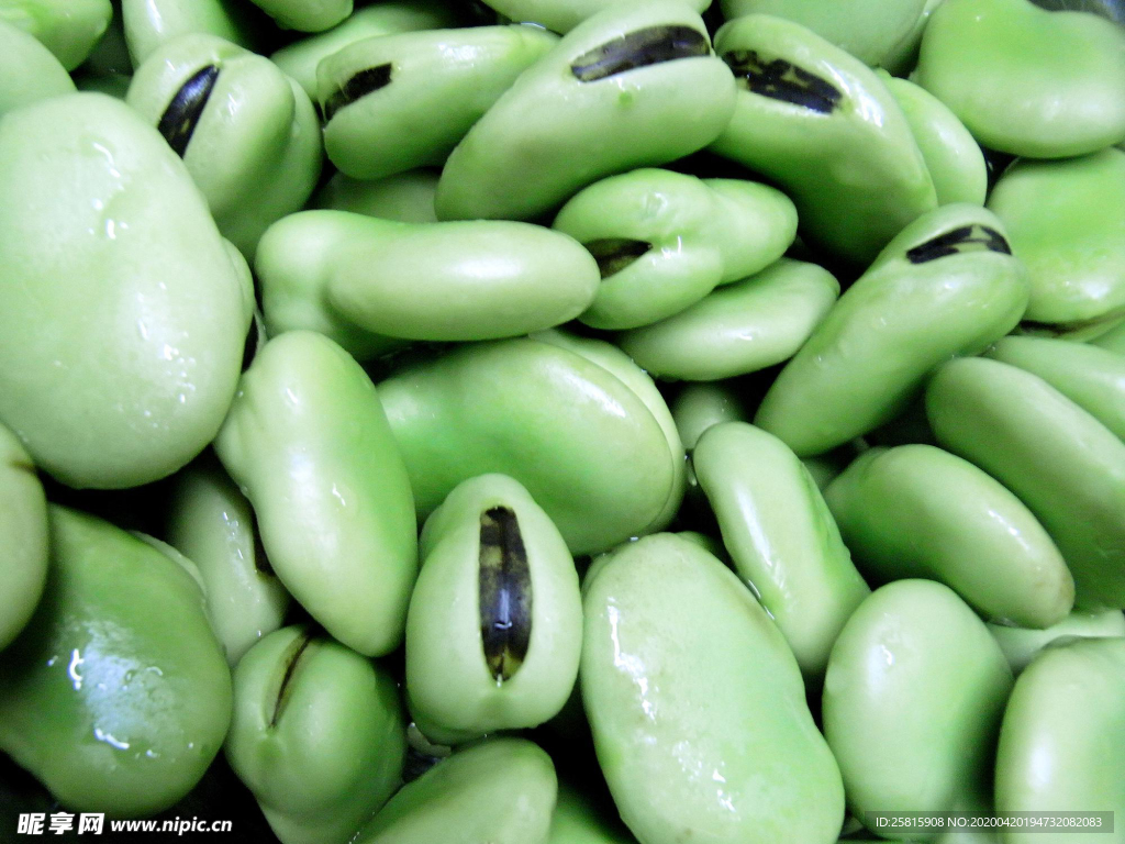 蚕豆五谷杂粮图片