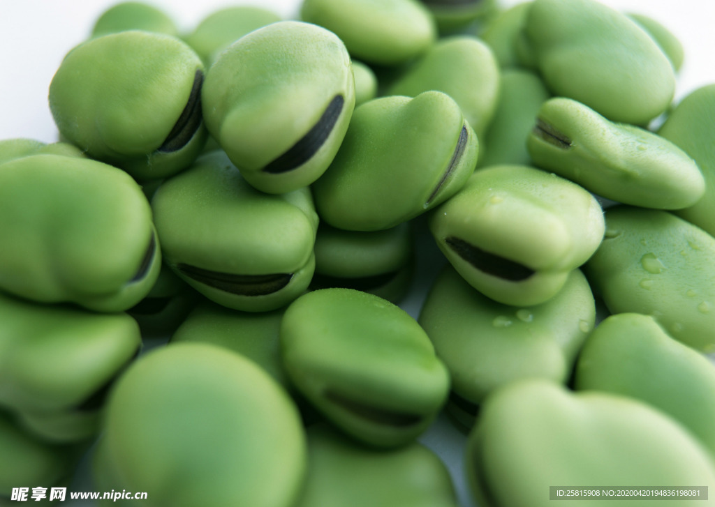 蚕豆五谷杂粮图片