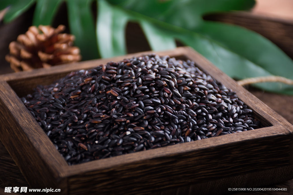 黑米五谷杂粮图片