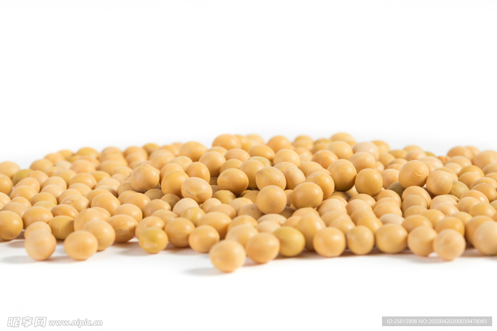 黄豆五谷杂粮图片