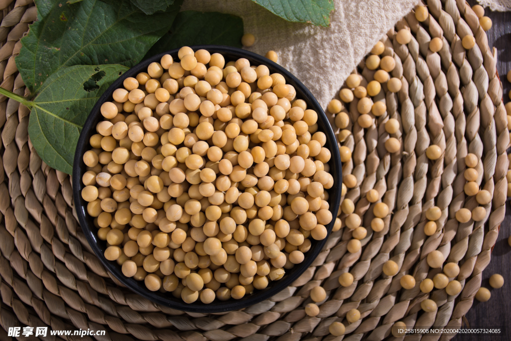 黄豆五谷杂粮图片