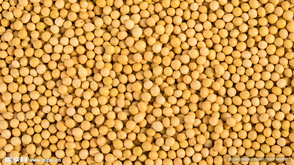 黄豆五谷杂粮图片
