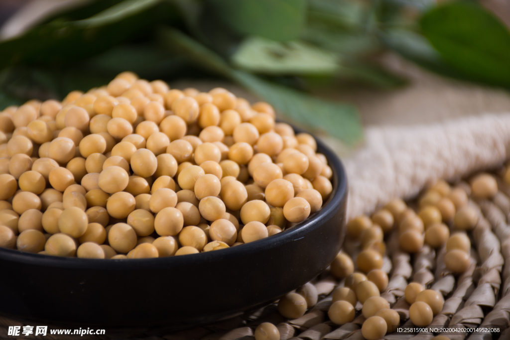 黄豆五谷杂粮图片
