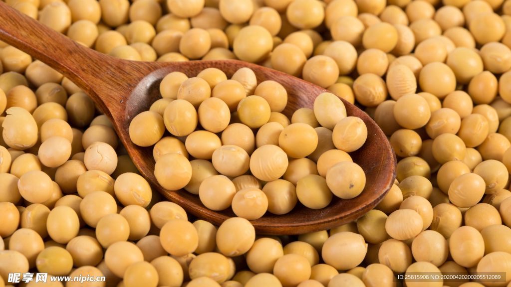 黄豆五谷杂粮图片