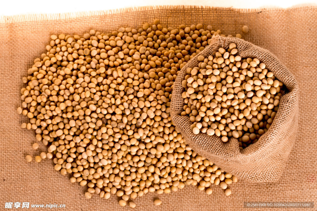 黄豆五谷杂粮图片