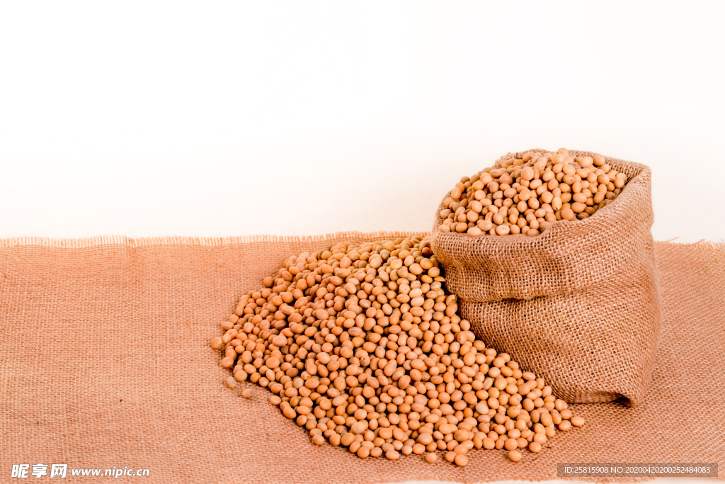 黄豆五谷杂粮图片