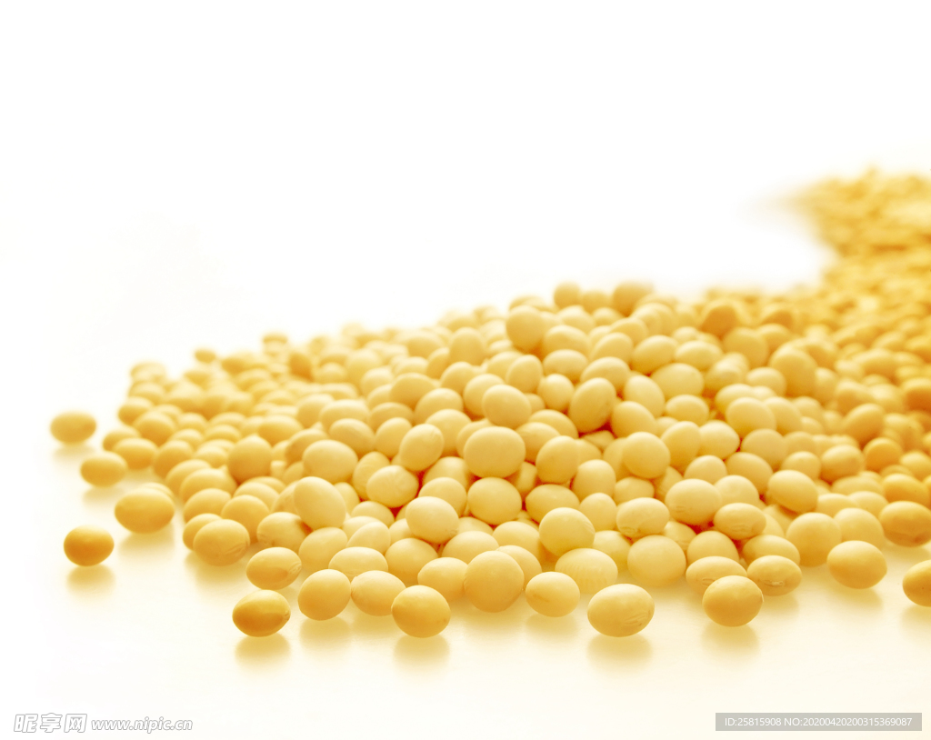黄豆五谷杂粮图片