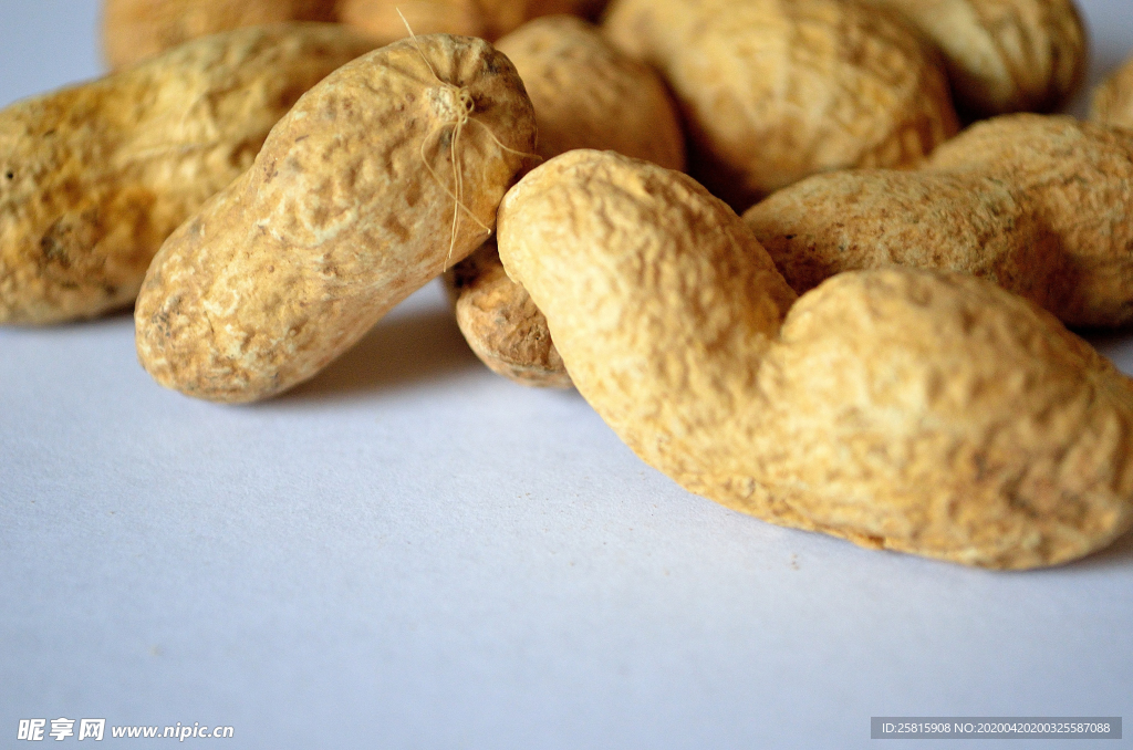 花生五谷杂粮图片