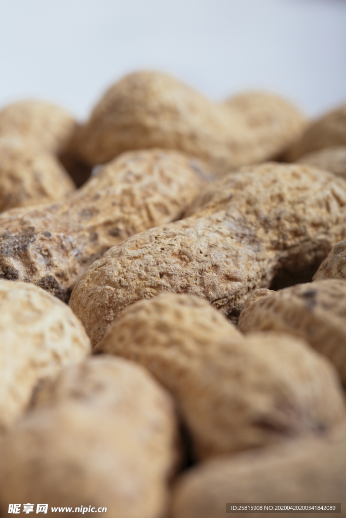 花生五谷杂粮图片