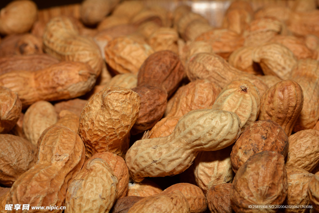 花生五谷杂粮图片