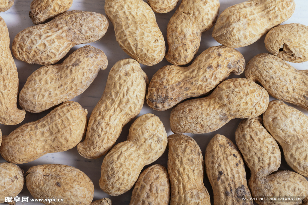 花生五谷杂粮图片